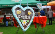 Wieder Oktoberfest im Elsebad